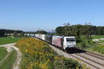 lokomotion-9/712340/185-666-und-189-932-mit 185 666 und 189 932 mit dem Ekol' aus Mnchen kommend am 9. September bei Grabensttt im Chiemgau.