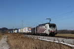 lokomotion-9/727833/193-776-mit-einem-klv-am 193 776 mit einem 'KLV' am 28. Februar 2021 bei Bernau am Chiemsee.