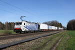 lokomotion-9/845122/186-442-war-mit-einem-klv 186 442 war mit einem 'KLV' am 20. Mrz 2024 bei Brannenburg in Richtung Kufstein unterwegs.