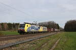 lokomotion-9/845699/189-912-und-189-902-mit 189 912 und 189 902 mit einem gemischten Gterzug aus Mnchen kommend am 26. Mrz 2024 bei Brannenburg im Inntal.
