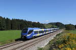 Meridian/712392/et-315-als-schuelerzug-aus-traunstein ET 315 als 'Schlerzug' aus Traunstein kommend am 9. September 2020 bei Grabensttt.