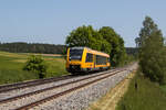 oberpfalzbahn/820548/1648-203-aus-weiden-kommend-am 1648 203 aus Weiden kommend am 28. Mai 2023 bei Naabdemenreuth.
