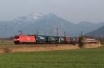 Railion/408688/185-288-8-mit-dem-walter-zug-am 185 288-8 mit dem 'Walter-Zug' am 1. April 2014 bei Bernau am Chiemsee.