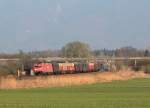 185 311-8 mit einem gemischten Güterzug kurz nach Bernau.
