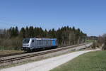 Railpool/695519/187-003-aus-freilassing-kommend-am 187 003 aus Freilassing kommend am 8. April 2020 bei Grabensttt im Chiemgau.