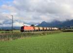 br-1016/403505/1016-029-9-mit-einem-gemischten-gueterzug 1016 029-9 mit einem gemischten Gterzug am 11. Oktober 2013 bei Bernau am Chiemsee.
