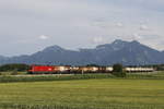 br-1016/661883/1016-041-mit-einem-kesselwagenzug-aus 1016 041 mit einem Kesselwagenzug aus Salzburg kommend am 19. Juni 2019.