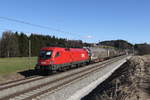 1016 011 mit einem Schiebewandzug am 21. Februar 2020 bei Grabensttt.