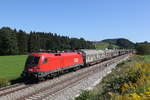 br-1016/712348/1016-026-mit-einem-schiebewandwagen-aus 1016 026 mit einem Schiebewandwagen aus Salzburg kommend am 9. September 2020 bei Grabensttt.