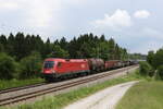 1016 029 mit einem gemischten Gterzug am 10. Juni 2021 bei Grabensttt im Chiemgau.