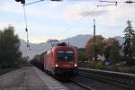 1116 095-1 durchfhrt am 21. Oktober 2013 den Bahnhof von Prien am Chiemsee.