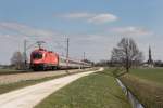 br-1116/445612/1116-128-8-am-8-april-2014 1116 128-8 am 8. April 2014 bei bersee am Chiemsee.