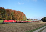 br-1116/526206/1116-055-5-mit-einem-ganzzug-am 1116 055-5 mit einem Ganzzug am 31. Oktober 2016 kurz nach Traunstein.