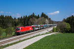 br-1116/552024/1116-043-mit-einem-autozug-aus 1116 043 mit einem Autozug aus Salzburg kommend am 9. April 2017 bei Grabensttt/Oberbayern.