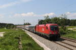 br-1116/699374/1116-163-kam-am-19-mai 1116 163 kam am 19. Mai 2020 mit dem EC 113 auf dem Weg nach Salzburg durch Grabensttt im Chiemgau.