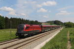 br-1116/699376/1116-228-aus-salzburg-kommend-am 1116 228 aus Salzburg kommend am 19. Mai 2020 bei Grabensttt.