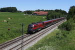 br-1116/702139/1116-214-aus-salzburg-kommend-am 1116 214 aus Salzburg kommend am 12. Juni 2020 bei Bad Endorf im Chiemgau.