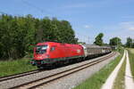 br-1116/736407/1116-271-mit-einem-gemischten-gueterzug 1116 271 mit einem gemischten Gterzug am 2. Juni 2021 bei Grabensttt.