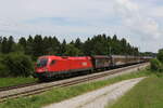 br-1116/736631/1116-041-mit-einem-gemischten-gueterzug 1116 041 mit einem gemischten Gterzug aus Salzburg kommend am 8. Juni 2021 bei Grabensttt im Chiemgau.