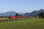 1116 203 aus Salzburg kommend am 2. September 2021 bei Bernau am Chiemsee.