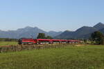 1116 215 aus Salzburg kommend am 2. September 2021 bei Bernau am Chiemsee.