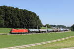 br-1116/825571/1116-083-mit-einem-kesselwagenzug-aus 1116 083 mit einem Kesselwagenzug aus Freilasssing kommend am 22. August 2023 bei Axdorf/Traunstein.
