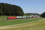 1116 277 mit einem Kesselwagenzug aus Freilassing kommend am 2. August 2023 bei Axdorf.
