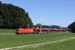 br-1116/826534/1116-131-schiebt-einen-railjet-am 1116 131 schiebt einen 'Railjet' am 6. September 2023 bei Traunstein in Richtung Salzburg.