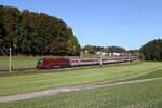 1116 216 mit dem  Transalpin  am 25. Oktober 2023 bei Axdorf im Chiemgau.