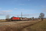 br-1116/873774/1116-157-war-am-24-januar 1116 157 war am 24. Januar 2025 mit dem 'Papierzug' bei bersee am Chiemsee in Richtung Mnchen unterwegs.