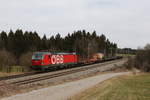 br-1293-2/728387/1293-181-war-mit-einem-kurzen 1293 181 war mit einem kurzen 'Mischer' bei Grabensttt im Chiemgau in Richtung Rosenheim unterwegs.