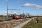 br-1293-2/766423/1293-185-mit-einem-gemischten-gueterzug 1293 185 mit einem gemischten Gterzug aus Salzburg kommend am 5. Februar 2022 bei bersee am Chiemsee.