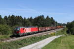 br-1293-2/790117/1293-192-mit-einem-gemischten-gueterzug 1293 192 mit einem gemischten Gterzug am 2. September 2022 bei Grabensttt im Chiemgau.