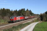 br-1293-2/794170/1293-003-mit-einem-gemischten-gueterzug 1293 003 mit einem gemischten Gterzug aus Freilassing kommend am 31. Oktober 2022 bei Grabensttt.