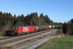 br-1293-2/798667/1293-015-mit-einem-gemischten-gueterzug 1293 015 mit einem gemischten Gterzug aus Salzburg kommend am 30. Dezember 2022 bei Grabensttt im Chiemgau.