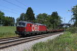 br-1293-2/824842/1293-039-mit-einem-gemischten-gueterzug 1293 039 mit einem gemischten Gterzug am 15. Juli 2023 bei bersee am Chiemsee.