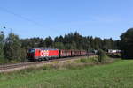 br-1293-2/863531/1293-093-mit-einem-gemischten-gueterzug 1293 093 mit einem gemischten Gterzug aus Salzburg kommend am 7. September 2024 bei Lauter.