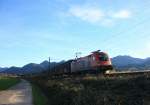 1116 143 am 8. November 2013 mit einem Güterzug von Salzburg kommend bei Prien am Chiemsee. 