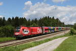 1116 249 mit dem  FB-Railjet  aus Salzburg kommend am 24. Mai 20220 bei Grabensttt im Chiemgau.