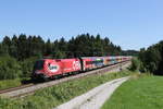 br-xx16-werbeloks/710673/1116-249-mit-dem-oefb-railjet-aus 1116 249 mit dem 'FB-Railjet' aus Salzburg kommend am 6. August 2020 bei Grabensttt im Chiemgau.