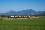 ecco-rail/551777/193-211-mit-einem-getreidezug-aus 193 211 mit einem Getreidezug aus Salzburg kommend am 9. April 2017 bei Bernau am Chiemsee.