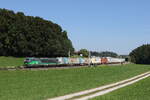 european-locomitve-leasing/826837/193-201-mit-einem-ekol-klv-aus 193 201 mit einem 'EKOL-KLV' aus Salzburg kommend am 10. September 2023  bei Axdorf.