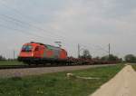 rts/415204/1216-903-5-am-13-april-2014 1216 903-5 am 13. April 2014 bei bersee.