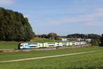 westbahn/828745/4010-023-aus-wien-kommend-am 4010 023 aus Wien kommend am 3. Oktober 2023 bei Axdorf im Chiemgau.
