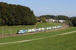 4010 031 war am 3. Oktober 2023 bei Axdorf in Richtung Rosenheim unterwegs.