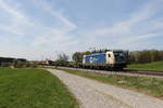 wiener-lokalbahn/696137/187-323-der-wiener-lokalbahn-cargo 187 323 der 'Wiener Lokalbahn Cargo' war am 15. April 2020 bei Grabensttt im Chiemgau mit einem Containerzug in Richtung Salzburg unterwegs.