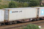 containerwagen/674516/4980-196-sggrss-mit-einem-container 4980 196 (Sggrss) mit einem Container der 'MAERSK Line' am 31. August 2019 bei Langwedel.