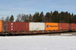 containerwagen/765326/4576-490-sggnss-am-27-januar 4576 490 (Sggnss) am 27. Januar 2022 bei Grabensttt.