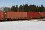 containerwagen/765410/4594-251-sggnss-am-27-januar 4594 251 (Sggnss) am 27. Januar 2022 bei Grabensttt.