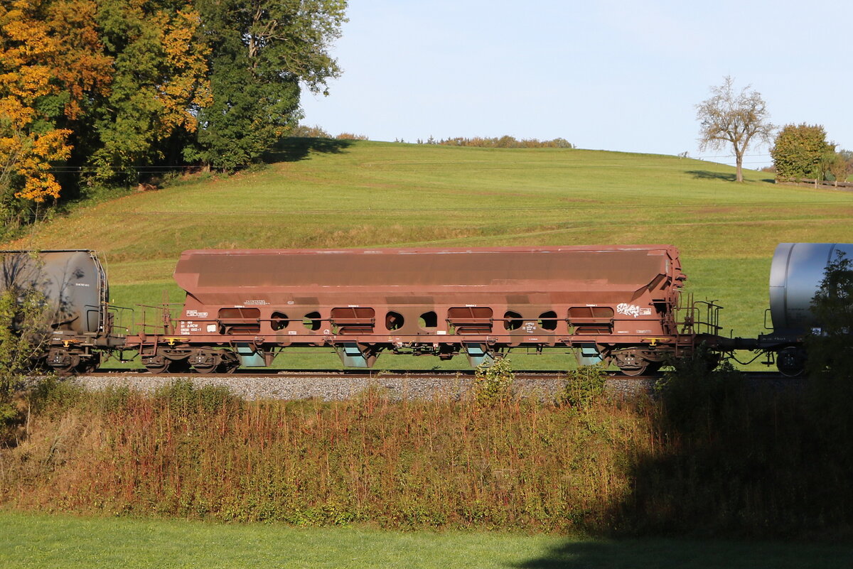 0838 082 (Tadns) von  RCW  am 12. Oktober 2024 bei Axdorf.